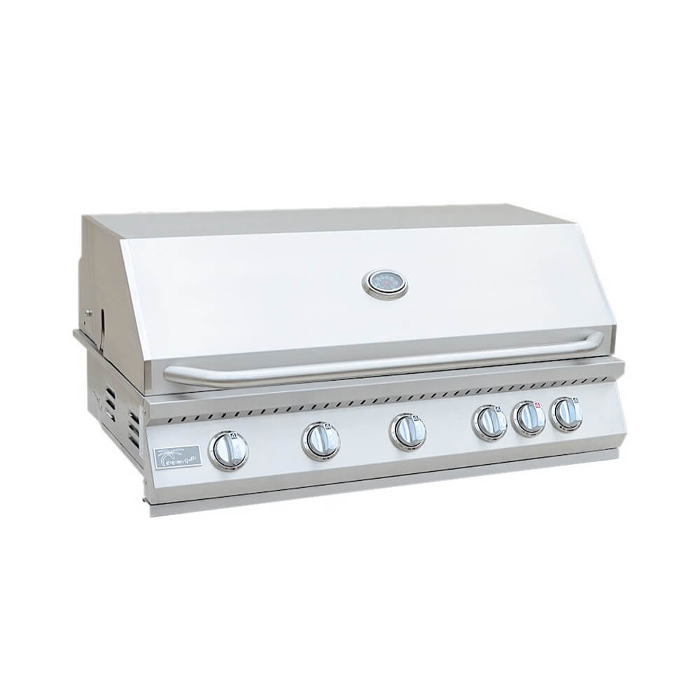 40-Inch Heavy-Duty 72K BTU LP/NG 5 Burner Grill with Built-In Stainless Steel Gas Grill (SAK73152)